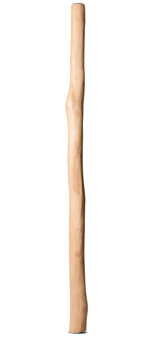 Natural Finish Didgeridoo (TW1028)